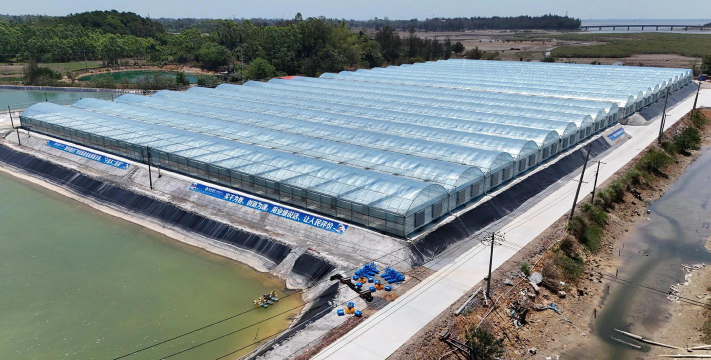 养殖虾基地，选址很关键，管理要跟上