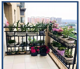 养花铁架子，阳台空间巧利用，植物摆放更整齐