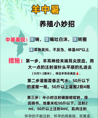 养殖工作,提升养殖效率,掌握实用技巧 养殖工作,提升养殖效率,掌握实用技巧