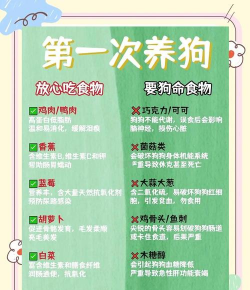 家里阳光不足怎么养花，选对植物种类，掌握养护技巧