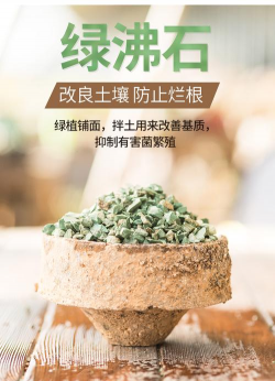 家里阳光不足怎么养花，选对植物种类，掌握养护技巧