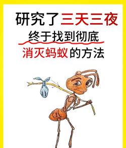 家里阳光不足怎么养花，选对植物种类，掌握养护技巧