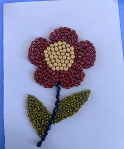 家里阳光不足怎么养花，选对植物种类，掌握养护技巧