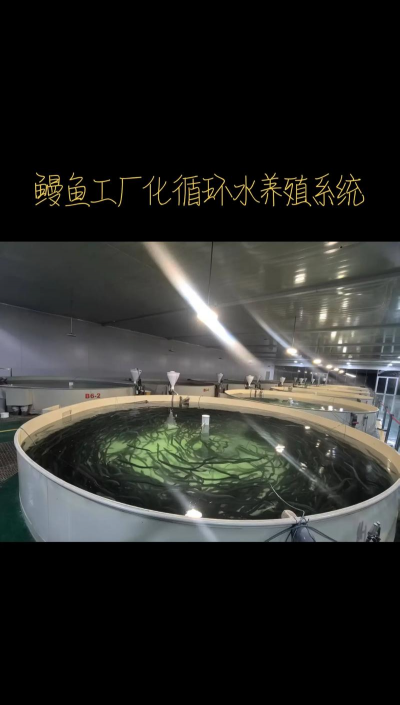 家里阳光不足怎么养花，选对植物种类，掌握养护技巧