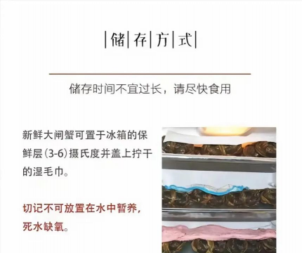 家里阳光不足怎么养花，选对植物种类，掌握养护技巧