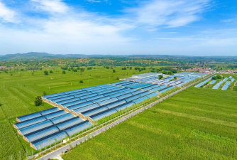 家里阳光不足怎么养花，选对植物种类，掌握养护技巧