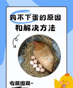 水宝宝养花的好处，提升观赏性，改善家居氛围