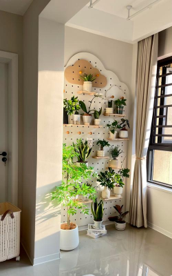 家里阳光不足怎么养花，选对植物种类，掌握养护技巧