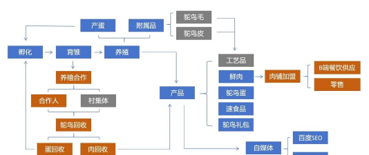 家里阳光不足怎么养花，选对植物种类，掌握养护技巧