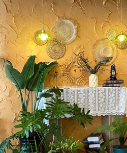 泰国花卉，热带风情，家居装饰新选择