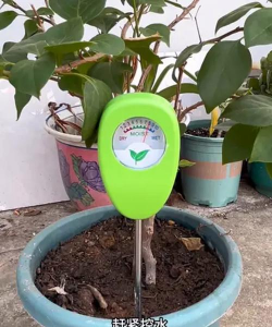 家里阳光不足怎么养花，选对植物种类，掌握养护技巧