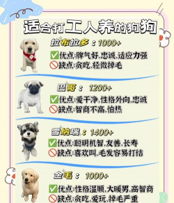 家里阳光不足怎么养花，选对植物种类，掌握养护技巧