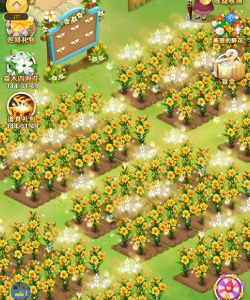 家里阳光不足怎么养花，选对植物种类，掌握养护技巧