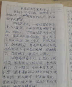 家里阳光不足怎么养花，选对植物种类，掌握养护技巧