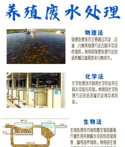 家里阳光不足怎么养花，选对植物种类，掌握养护技巧