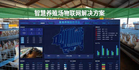 家里阳光不足怎么养花，选对植物种类，掌握养护技巧