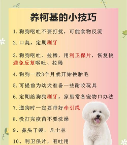 养花不好的人煞气多，养花常见问题，如何化解煞气