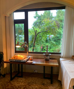 养花不好的人煞气多，养花常见问题，如何化解煞气