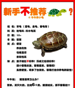 养花不好的人煞气多，养花常见问题，如何化解煞气