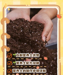 家庭养花如何自制花土,掌握关键步骤,轻松搞定营养土 家庭养花如何自制花土,掌握关键步骤,轻松搞定营养土