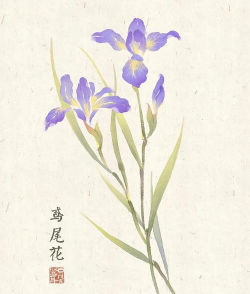 蟹的养殖，技术要点，常见问题