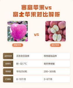 寒富苹果和富士苹果的区别