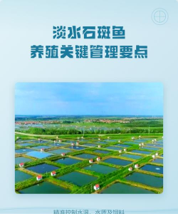 养花不好的人煞气多，养花常见问题，如何化解煞气