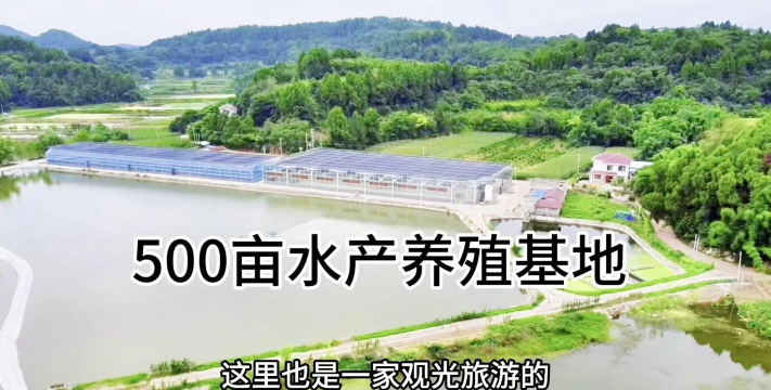 家里阳光不足怎么养花，选对植物种类，掌握养护技巧