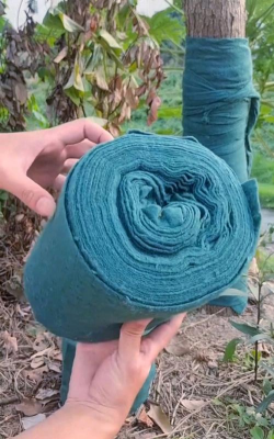 小众送妈妈的花有哪些花