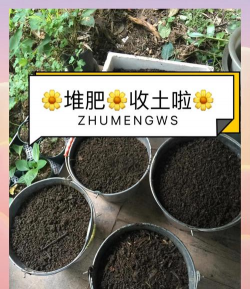 养花肥料制作，省钱又环保，家庭园艺必备