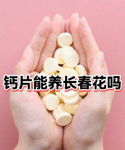 钙片能养花吗，了解正确用法，避免浪费资源