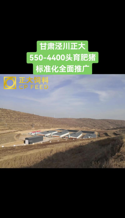 家里阳光不足怎么养花，选对植物种类，掌握养护技巧