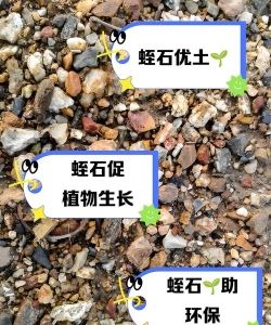 懒人养花神器，轻松打理花草，告别繁琐养护