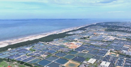 湛江养殖,产业特色,发展前景 湛江养殖,产业特色,发展前景