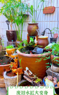 家里阳光不足怎么养花，选对植物种类，掌握养护技巧