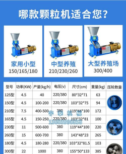 家里阳光不足怎么养花，选对植物种类，掌握养护技巧