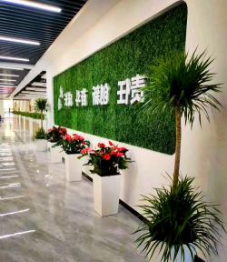 养花不好的人煞气多，养花常见问题，如何化解煞气