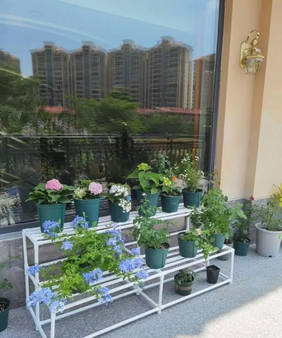 室内花卉装饰，提升居家氛围，打造自然空间