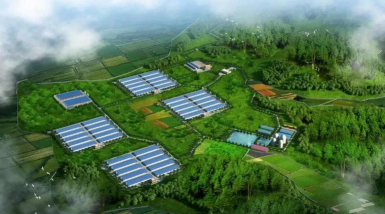 家里阳光不足怎么养花，选对植物种类，掌握养护技巧