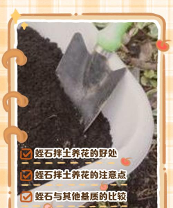 蛭石拌土能养花吗，改善土壤透气，促进根系生长