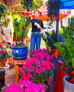 家里阳光不足怎么养花，选对植物种类，掌握养护技巧