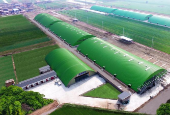 家里阳光不足怎么养花，选对植物种类，掌握养护技巧