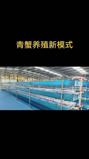 家里阳光不足怎么养花，选对植物种类，掌握养护技巧