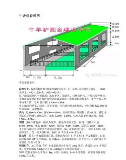 家里阳光不足怎么养花，选对植物种类，掌握养护技巧