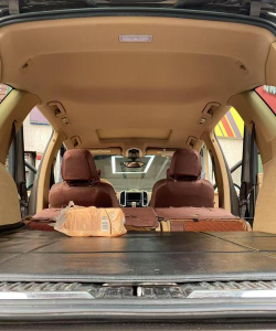 家里阳光不足怎么养花，选对植物种类，掌握养护技巧