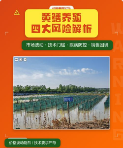 家里阳光不足怎么养花，选对植物种类，掌握养护技巧