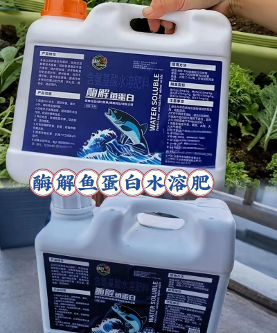 家里阳光不足怎么养花，选对植物种类，掌握养护技巧