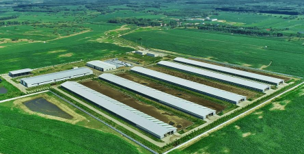 家里阳光不足怎么养花，选对植物种类，掌握养护技巧