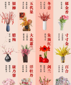 家里阳光不足怎么养花，选对植物种类，掌握养护技巧