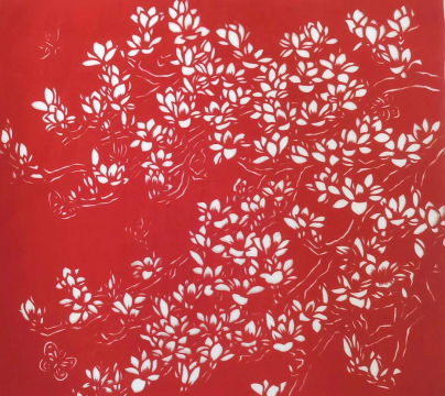 家里阳光不足怎么养花，选对植物种类，掌握养护技巧